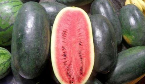 天然琪黑料吃瓜网