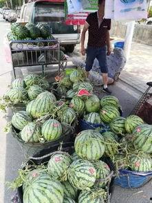 无锡网红吃瓜事件