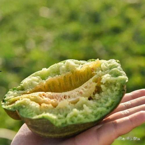 康县网红二饼吃瓜事件