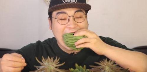 吃瓜小哥网红叫什么来着,揭秘“吃瓜小哥”网红背后的故事