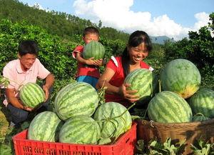 永年网红吃瓜是谁啊视频