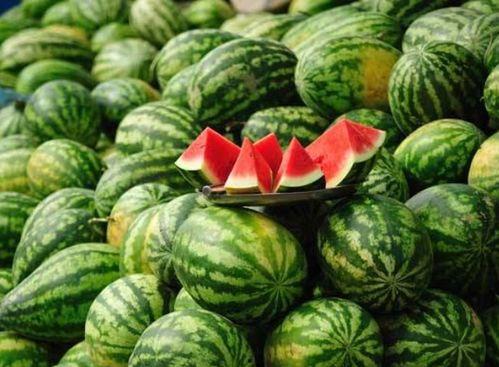 吃瓜网红事件贵州最新进展