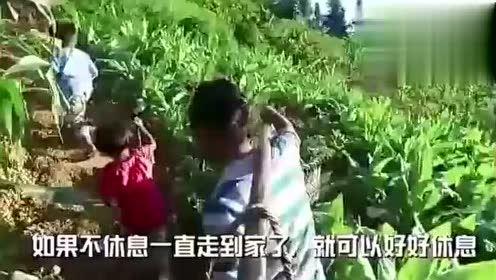 天门扛大旗网红吃瓜视频,揭秘网络红人幕后生活