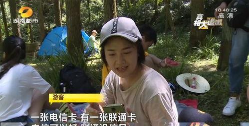 天门扛大旗网红吃瓜视频,揭秘网络红人幕后生活