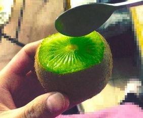 抖音网红吃瓜基地