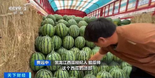 红衣哥莒南网红吃瓜,揭秘网络红人的幕后生活