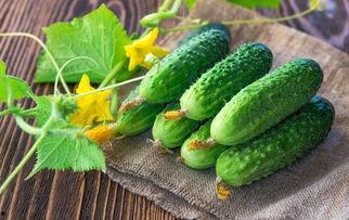 爱我吃瓜网,爱我吃瓜网带你领略吃瓜文化新风尚