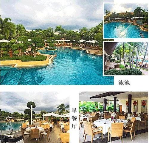 吃瓜网红去酒店,吃瓜群众眼中的网红酒店生活