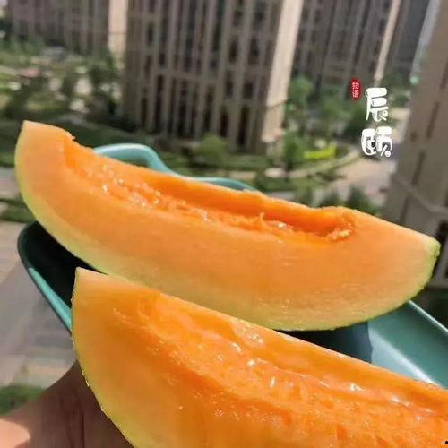 山东网红吃瓜猛料黄料