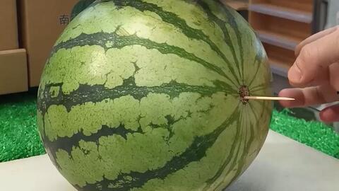 山东网红吃瓜猛料黄料