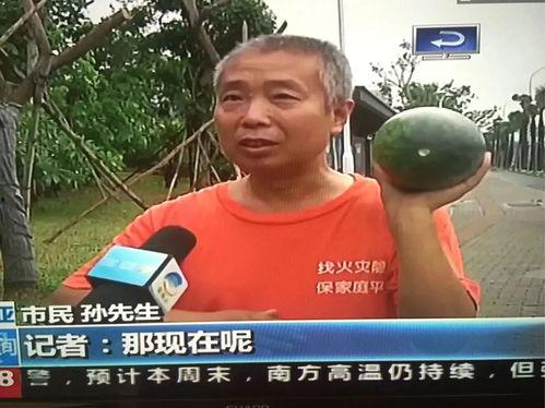 吃瓜网热门事件群,揭秘网络热议背后的真相