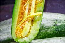 网红吃的软瓜有哪些